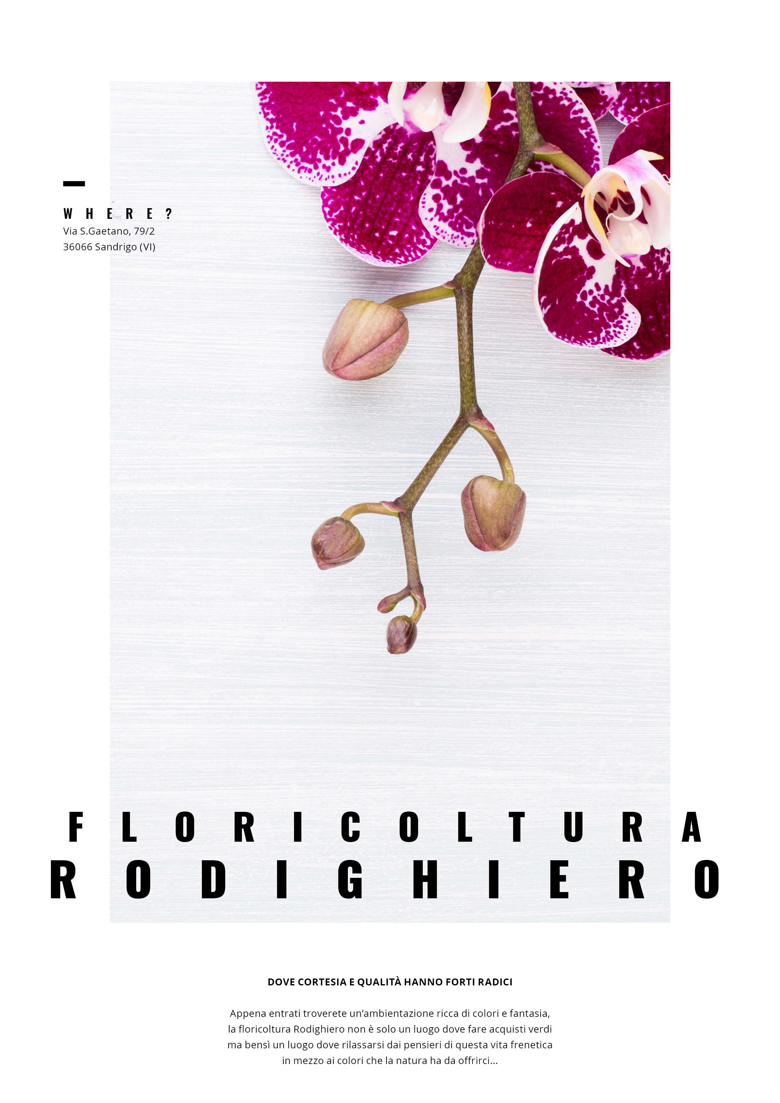 Floricoltura Rodighiero